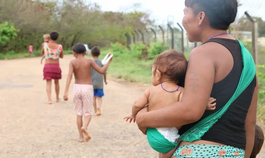 Conab realiza leilão para comprar 8 mil cestas de alimentos destinadas ao povo Yanomami em RR
